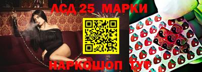 индика Рыбинск