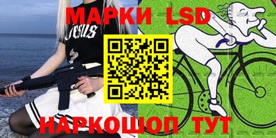 индика Рыбинск