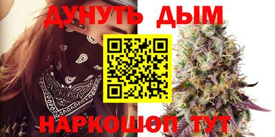 индика Рыбинск