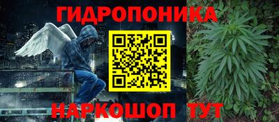 индика Рыбинск