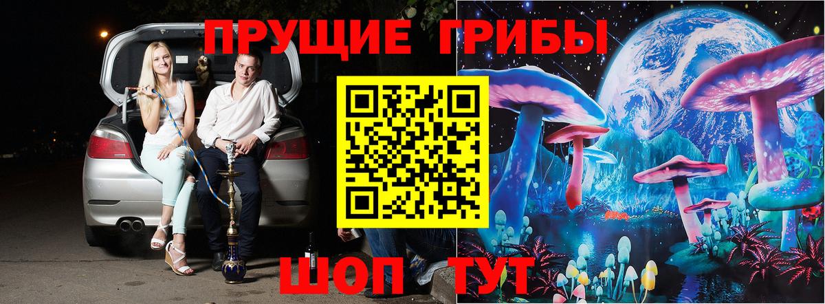 Волоколамск  Псилоцибиновые грибы MAGIC MUSHROOMS  Вход с VPN 