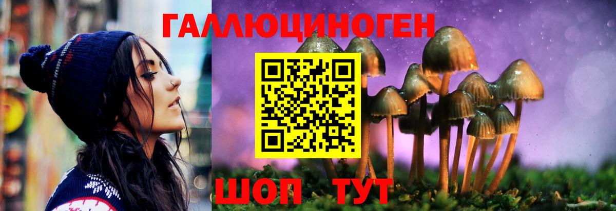 Галлюциногенные грибы Psilocybine cubensis Волоколамск